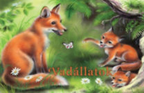 Vadállatok