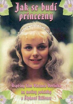 Jak se budí princezny - DVD
