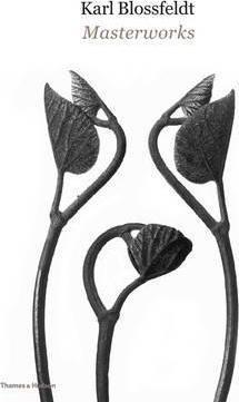 Karl Blossfeldt: Masterworks