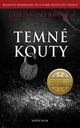 Temné kouty - 3. vydání - Gillian Flynn