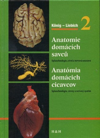 Anatomie domácích savců 2 Anatómia domácich cicavcov 2 - H. E. König