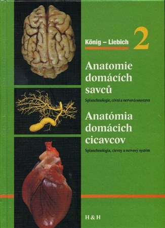 Anatomie domácích savců 2 Anatómia domácich cicavcov 2
