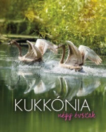 Kniha Kukkónia - Négy évszak - Éva Nagyvendégi,Krisztina Ando