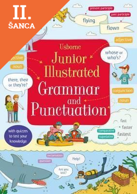 Lacná kniha Junior Illustrated Grammar and Punctuation