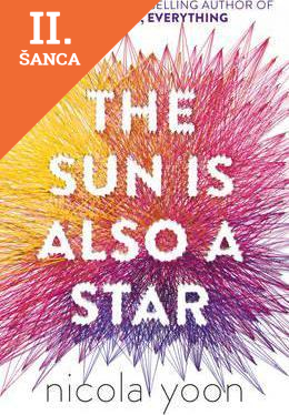 Lacná kniha The Sun is Also a Star