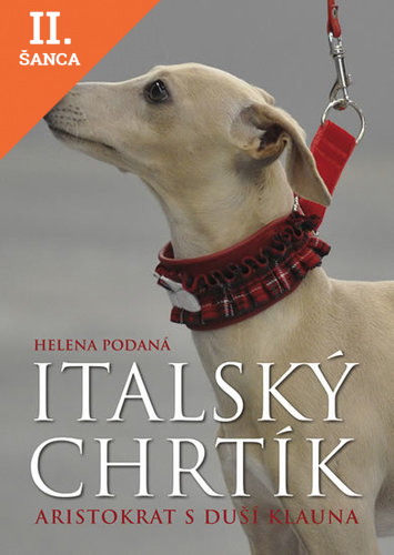 Lacná kniha Italský chrtík - Aristokrat s duší klauna