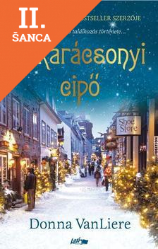 Lacná kniha A karácsonyi cipő