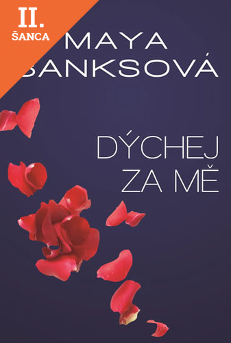 Lacná kniha Dýchej za mě - V žáru bezpečí 4