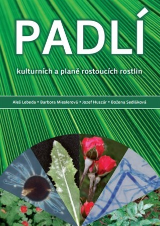 Padlí - Kolektív autorov