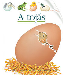 A tojás - Kis felfedező zsebkönyvek 34. - Rajzos fóliával