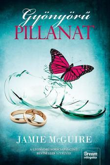 Kniha Gyönyörű pillanat - Jamie McGuire