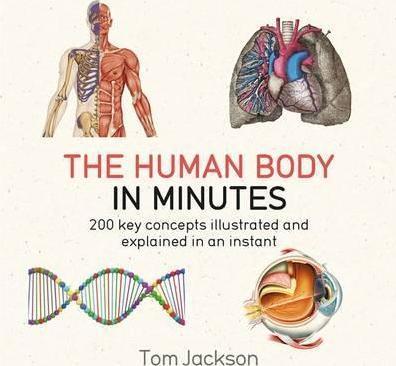 The Human Body in Minutes