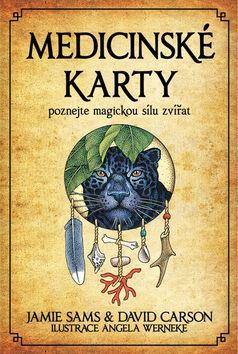 Medicínske karty (kniha + karty)