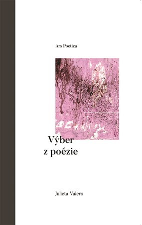 Kniha Plynutie - Julieta Valero