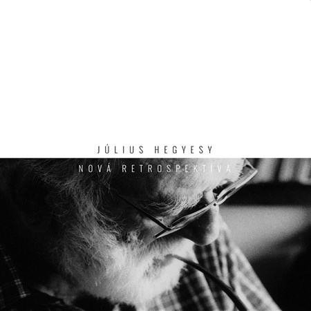 Kniha Nová retrospektíva - Július Hegyesy