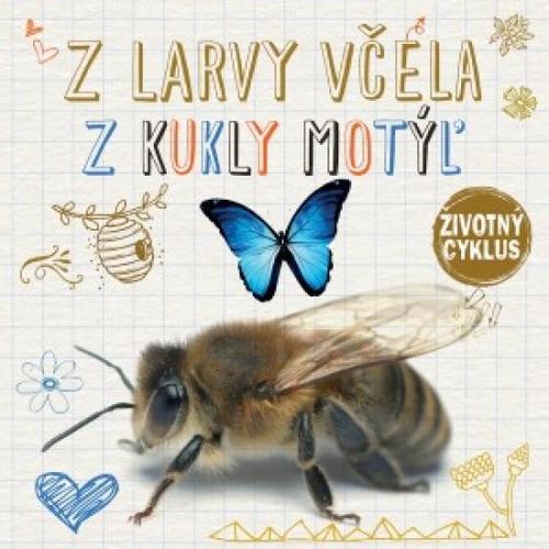 Životný cyklus – Z larvy včela, z kukly motýľ ?