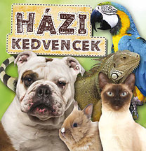 Házi kedvencek