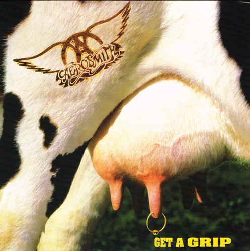 Kniha Aerosmith - Get A Grip 2LP