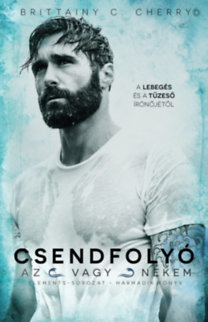 Kniha Csendfolyó - Az vagy nekem 3. - Cherry Brittainy C.