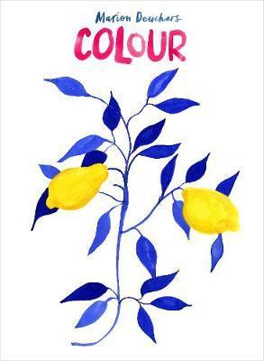 Colour