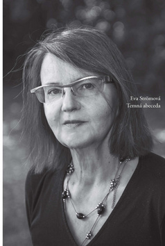 Kniha Temná abeceda