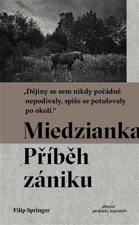 Kniha Miedzianka