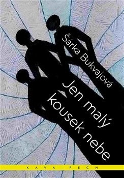 Kniha Jen malý kousek nebe