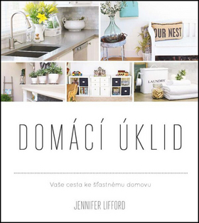 Domácí úklid