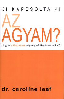 Ki kapcsolta ki az agyam?