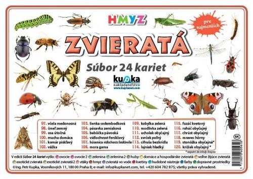 Súbor 24 kariet - zvieratá (hmyz) - Petr Kupka