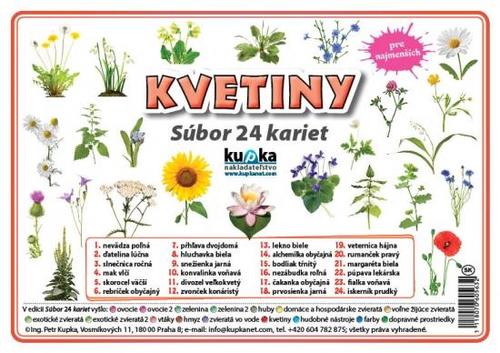 Súbor 24 kariet - kvetiny - Petr Kupka
