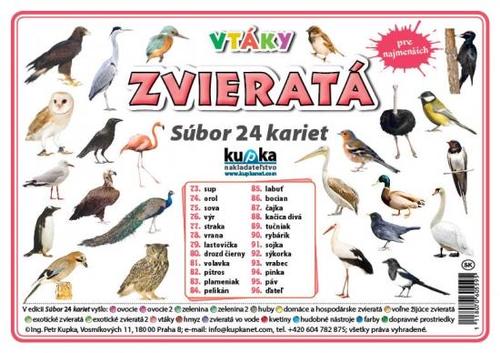 Súbor 24 kariet - zvieratá (vtáky) - Petr Kupka