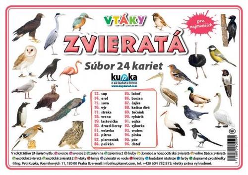 Kniha Súbor 24 kariet - zvieratá (vtáky)