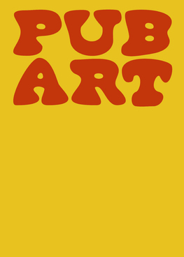 Kniha Pub Art