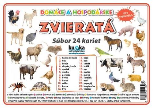 Kniha Súbor 24 kariet - zvieratá (domáce a hospodárske)