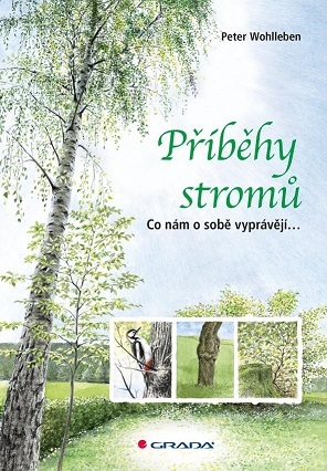 Příběhy stromů - Peter Wohlleben