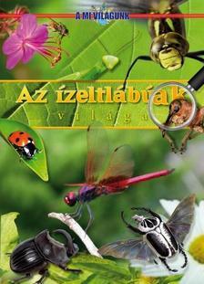 Az ízeltlábúak világa – A mi világunk – Rovarok, pókok, rák
