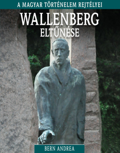 Kniha Wallenberg eltűnése - Andrea Bern