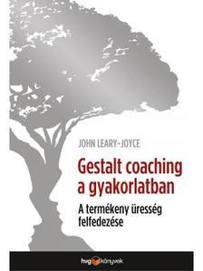 Gestalt coaching a gyakorlatban