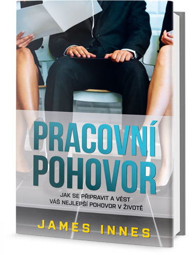 Pracovní pohovor