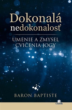 Kniha Dokonalá nedokonalosť