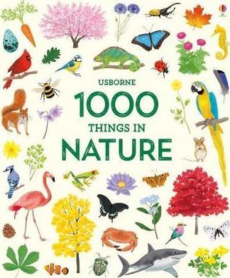1000 Things in Nature