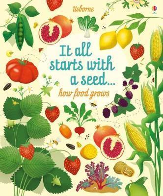 It all starts with a seed how food grows