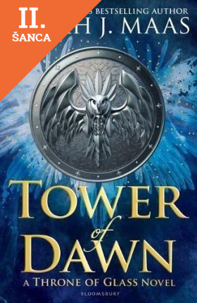 Lacná kniha Tower of Dawn