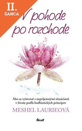 Lacná kniha V pohode po rozchode