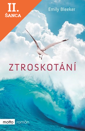 Lacná kniha Ztroskotání