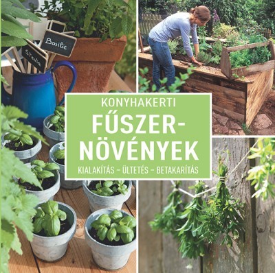 Konyhakerti fűszernövények