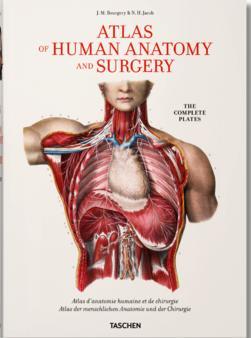 Bourgery, Atlas of Human Anatomy and Surgery