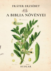 Kniha A Biblia növényei - Erzsébet Fráter
