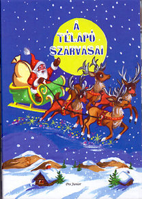 Kniha A Télapó szarvasai - Zsuzsa Radványi